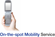 On-the-spot Mobility Service