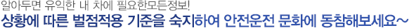 알아두면 유익한 내 차에 필요한 모든 정보! 상황에 따른 벌점적용 기준을 숙지하여 안전운전 문화에 동참해보세요~